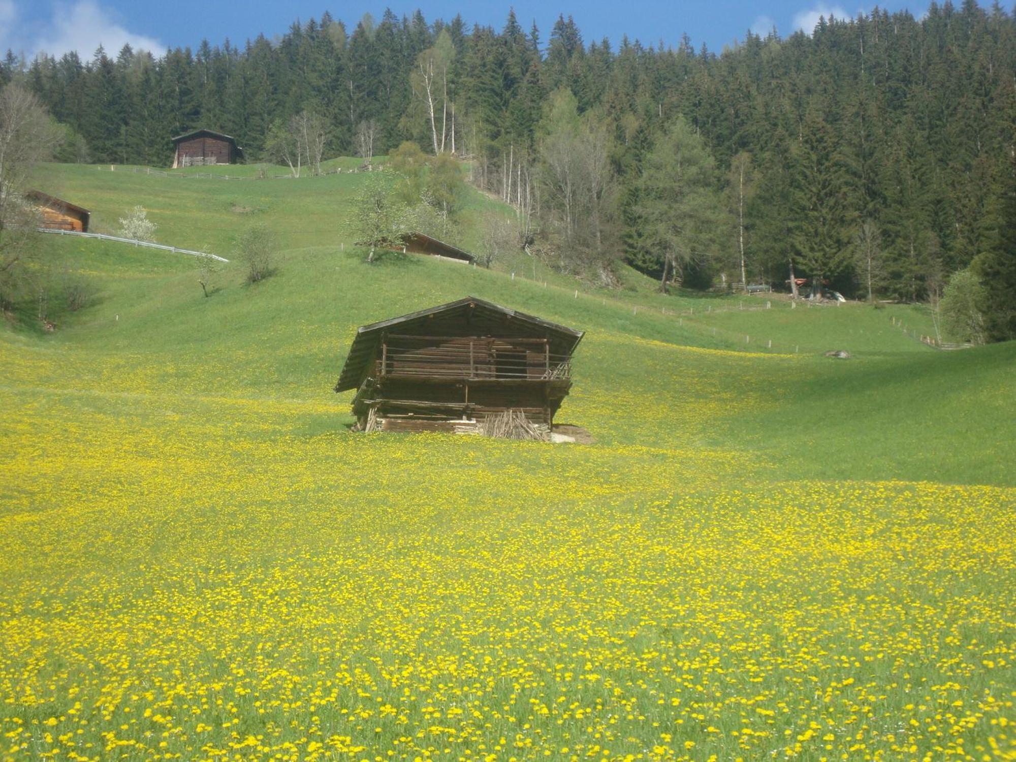 Apart Heim Fügen Exteriör bild